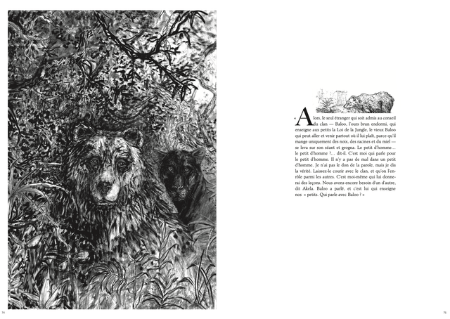 Le Bestiaire de Mowgli