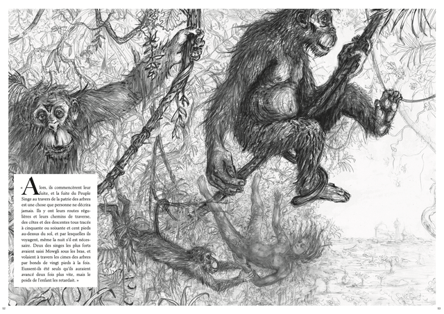 Le Bestiaire de Mowgli