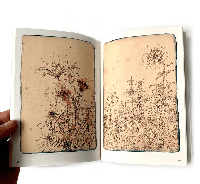 Carnet préparatoire du Bestiaire de Mowgli