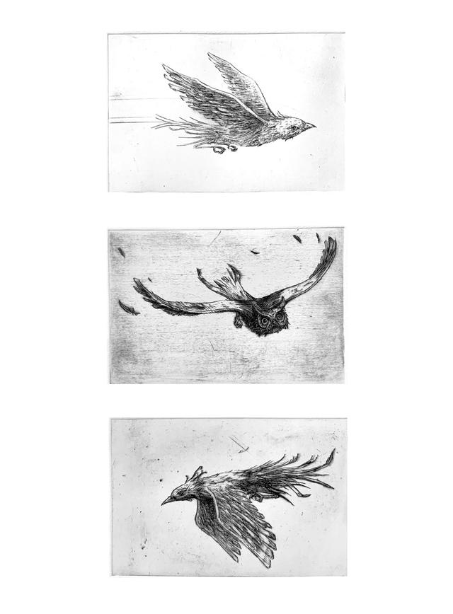 Flying birds
