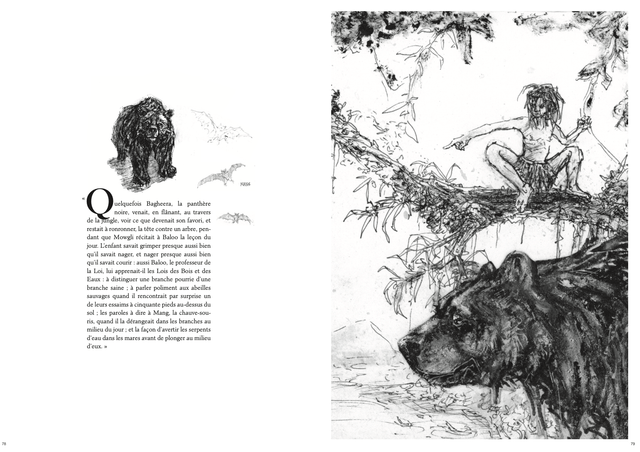 Le Bestiaire de Mowgli