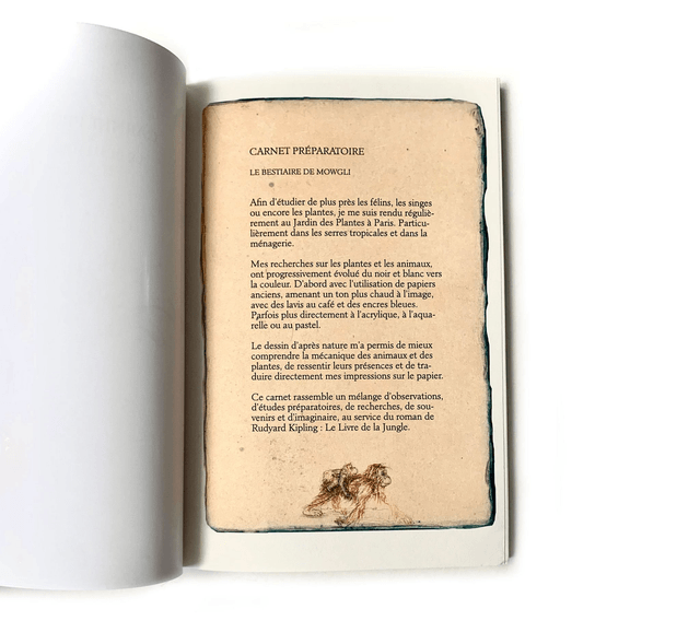 Carnet préparatoire du Bestiaire de Mowgli