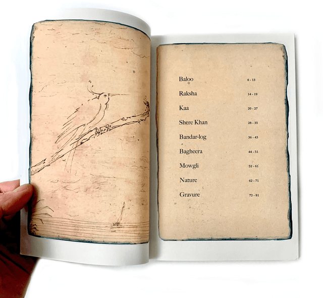 Carnet préparatoire du Bestiaire de Mowgli