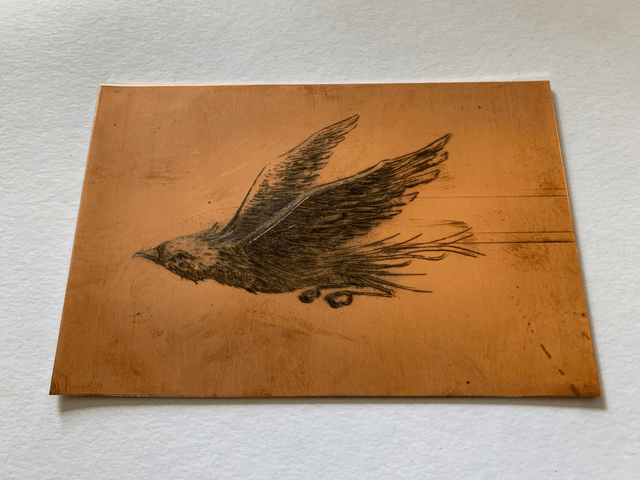 Flying birds