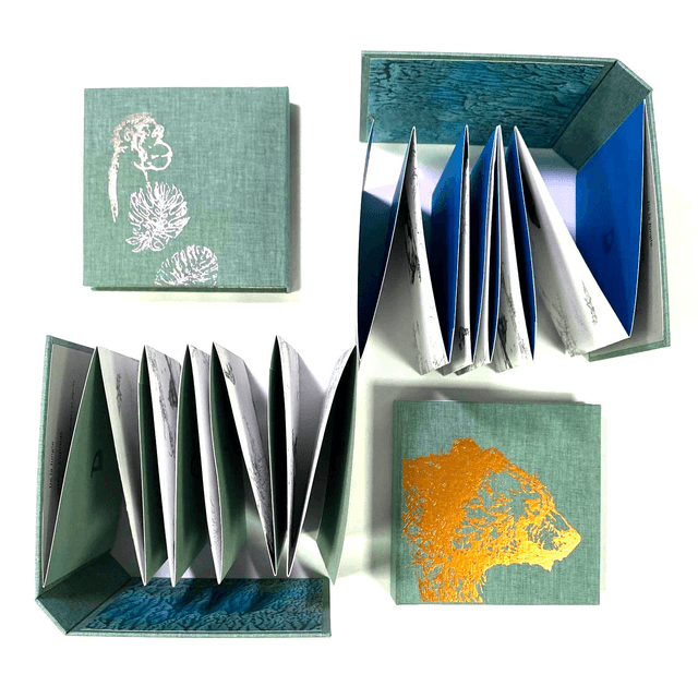 De la Jungle édition limitée à 80 exemplaires