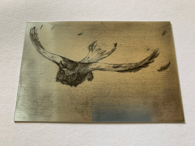 Flying birds