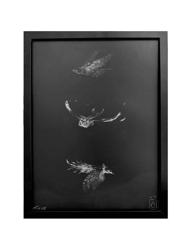 Night birds