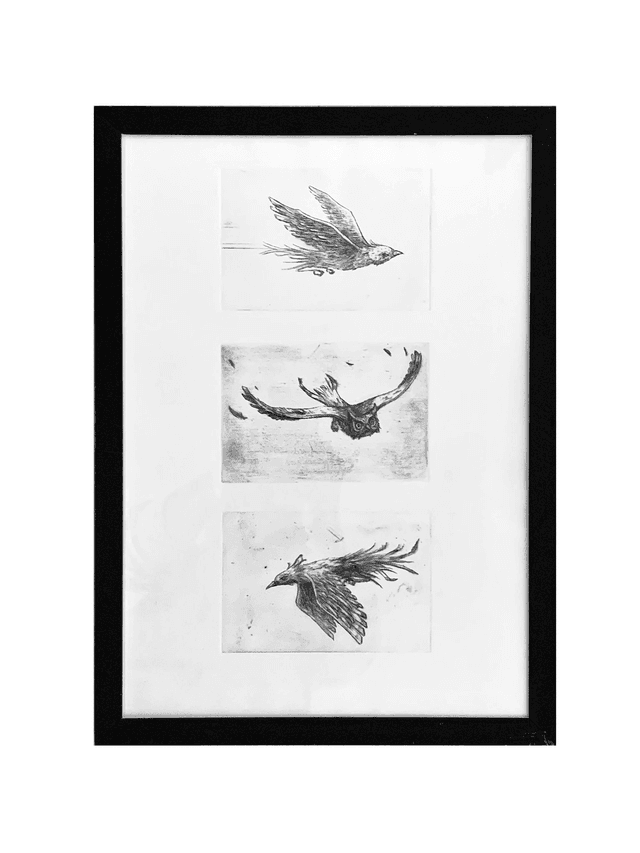 Flying birds